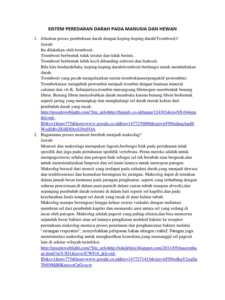 Sistem Peredaran Darah Pada Manusia Dan Hewan