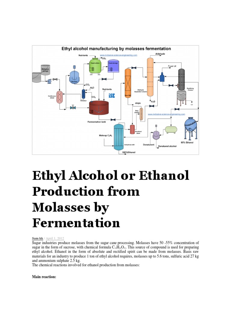 Ethyl Alcohol or Ethanol Production From Molasses by Fermentation