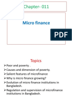 micro finance.ppt