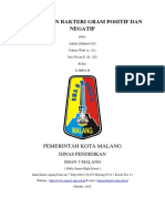 Laporan Biologi Pewarnaan Bakteri Gram P