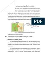 Biosintesis Pati Dan Sukrosa Sebagai Hasil Fotosintesis