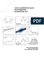 Fundamentos Estadisticos para InvestigacionIntroduccion A R