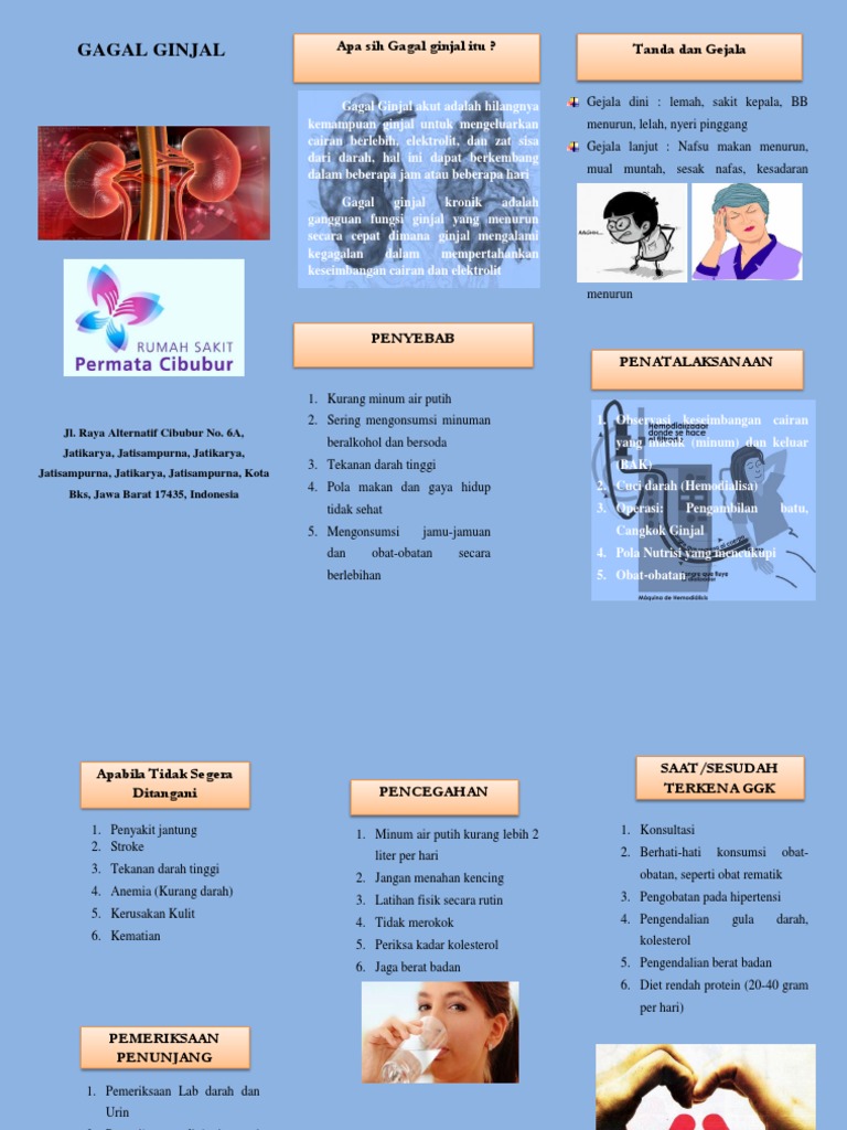 Leaflet Gagal Ginjal | PDF