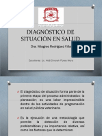 Diagnóstico de Situación en Salud