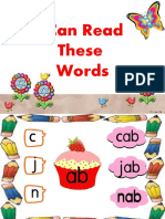 I Can Read PDF