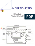 Sistem Komunikasi Neural