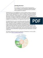 SQL Server Reporting Services en Espanol PDF