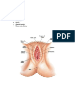 Diagnosis Banding Perdarahan Pasca Senggama