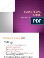 Blok Spesial Sense