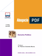 Derecho politico prof. Patricio Murua.pdf