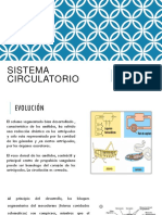 Sistema Circulatorio