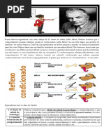 Correção Da Ficha de Trabalho Sobre o Behaviorismo de Watson