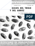 GORGOJO.pdf