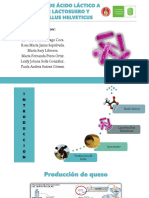 Acido Lactico