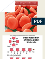 hemoglobin degradation. Ist year MBBS, by Dr waseem