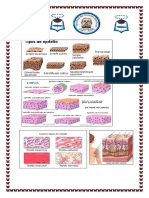 Caratula 2