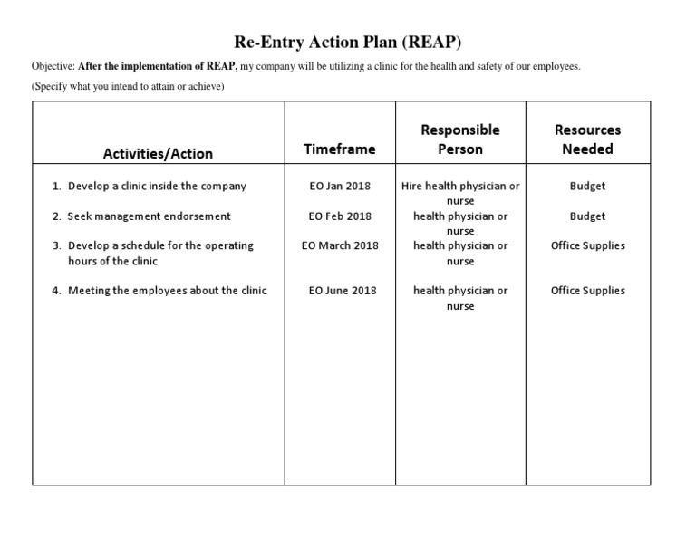 Re entry action plan pdf