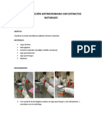 PRACTICA ACCIÓN ANTIMICROBIANA CON EXTRACTOS NATURALES.docx