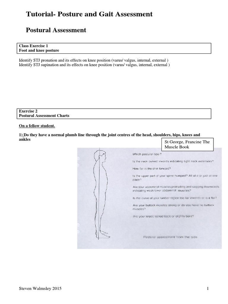 T Posture Gait Assessment 2015 | PDF | Foot | Musculoskeletal System