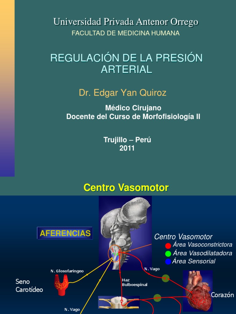 Regulación de La Presión Arterial | PDF | Angiotensina | Riñón