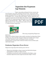 Magnesium Indonesia