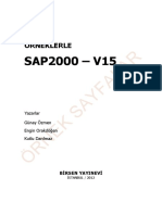 SAP2000v15_OrnekSayfalar.pdf