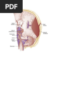 Makalah Listrik Statis Docx
