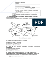 6 Sintesis 6 Ciencias