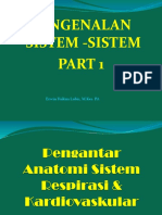 PENGENALAN SISTEM2