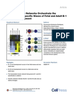 Distinct Genetic Networks Orchestrate the Emergence of Specific Waves of Fetal and Adult B-1 and B-2 Development