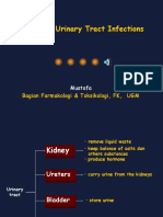 Drug Urinary Tract Infections Mus