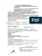 Metabolismul Glucidelor