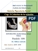 Criterios de Oclusion Óptima