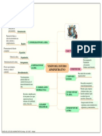 Vision Del Estudio Administrativo Organizacion PDF