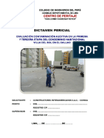 Formato Dictamen Pericial - COLEGIO DE INGENIEROS PDF