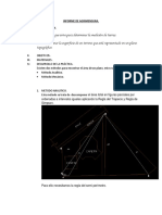 Informe de Agrimensura