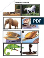 ANIMALES TERRESTRES.docx