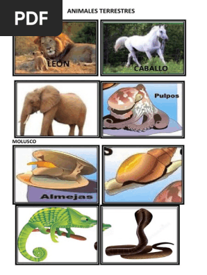 Animales Terrestres Docx