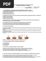 Prueba Unidad Fotosíntesis y Cadenas Alimentarias