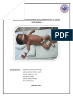 Incidencia de Sepsis Neonatal en El Departamento de Oruro Gestion 2016-1
