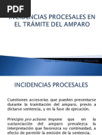 Incidencias Procesales en El Trámite Del Amparo