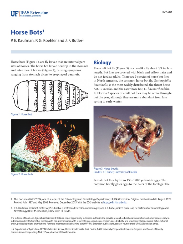 Horse Bots: Biology | PDF | Wellness | Medical