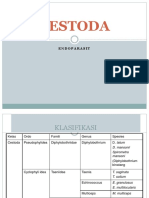 Cestoda M Farid