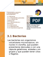 Bacterias 121110021711 Phpapp02