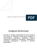 Analgesia Multimodal y Escalera Terapeutica