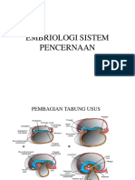  Embriologi Digestive