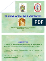 PANETON_2009.pdf