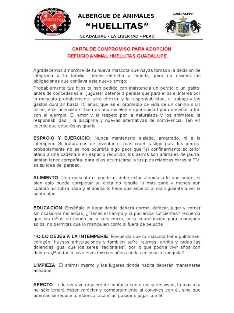 Carta Adopcion Huellitas Adopcion Mascota