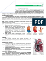 15 - Aparelho Circulatório - Medresumo