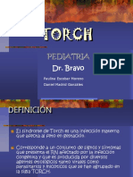 torch-09.pptx